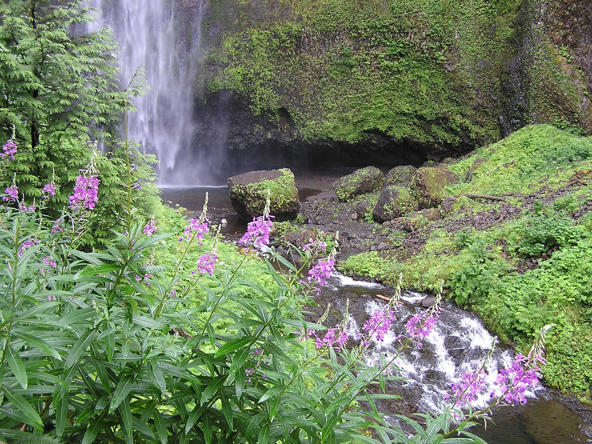 Maltnomah Falls Photo