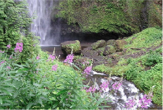 Multnomah Falls, Oregon photo