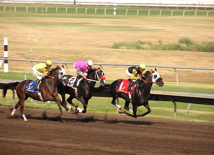 three thoroughbred horses racing